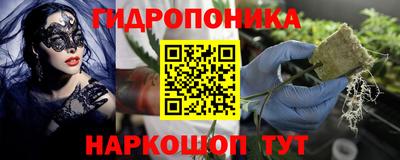 гидра Донецк