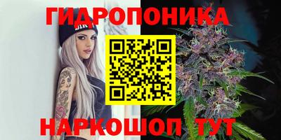 ГАЛЛЮЦИНОГЕННЫЕ ГРИБЫ Донской